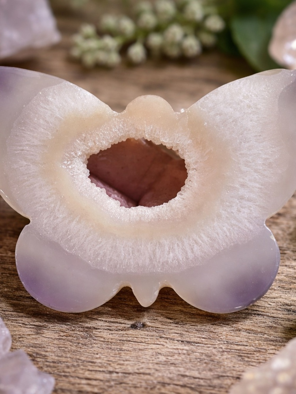 Butterfly Agate Geode Slice - Lavender and Cream